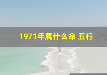 1971年属什么命 五行